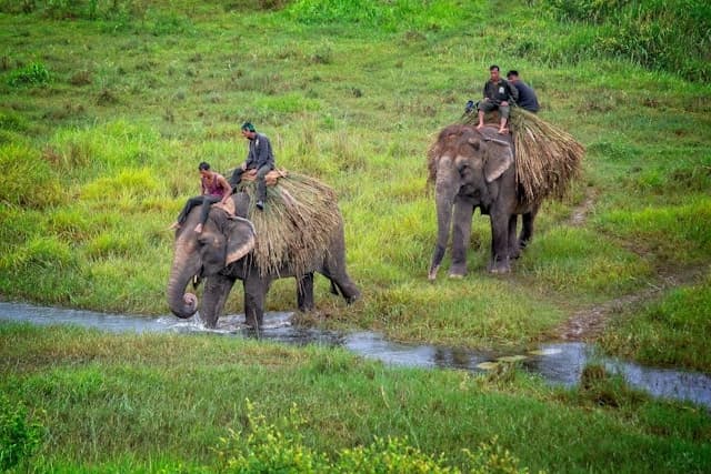 Chitwan & Lumbini